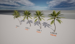 Coconut palm