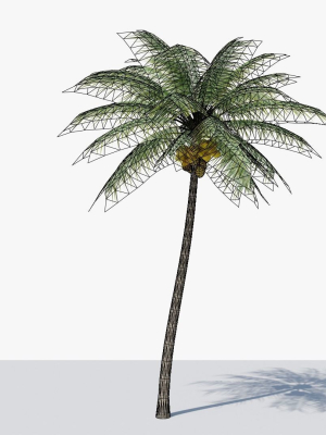 coconut-palm-v2-3d-model-0673e6014f