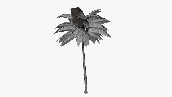 Coconut Palm v2