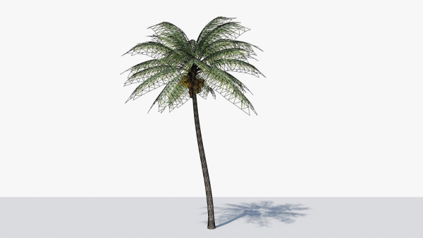 Coconut Palm v2