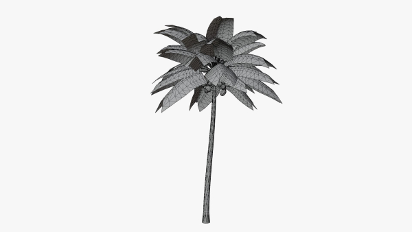 Coconut Palm v2