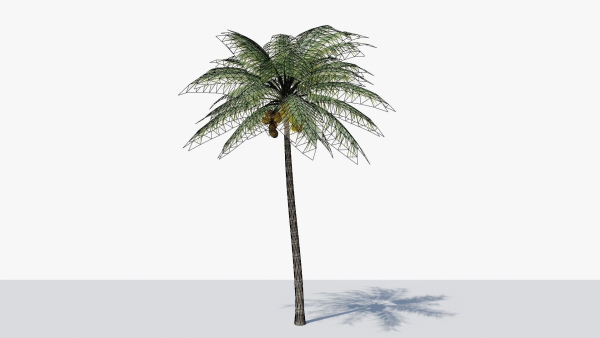 Coconut Palm v2