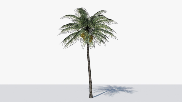 Coconut Palm v2