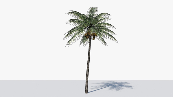 Coconut Palm v2