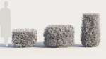 Coleonema pulchellum b
