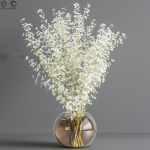 Collaction Plants Bouquet 04