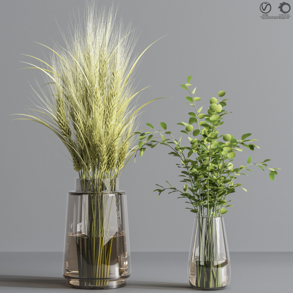Collaction Plants Bouquet 04