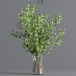 Collaction Plants Bouquet 09