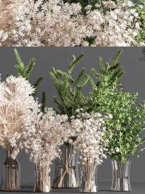 Collaction Plants Bouquet 09
