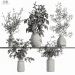 Collaction Plants Bouquet 22
