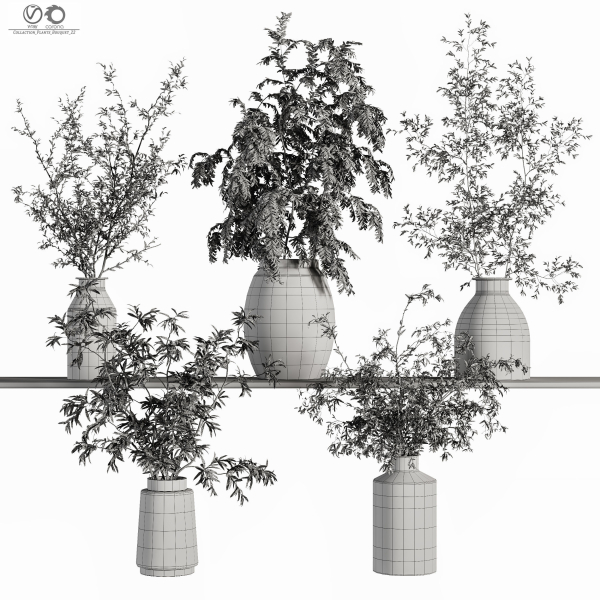 Collaction Plants Bouquet 22