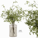 Collaction Plants Bouquet 22