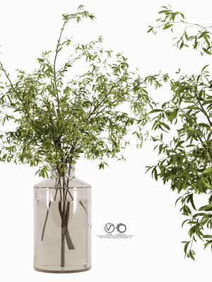 collaction-plants-bouquet-22-3d-model-59154e1a80