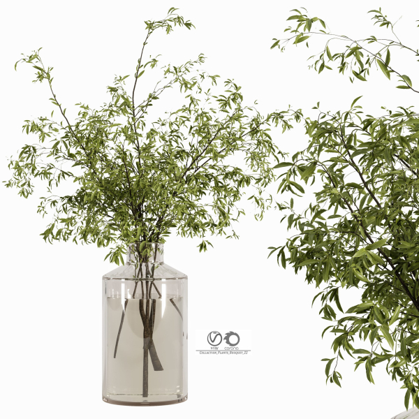 Collaction Plants Bouquet 22