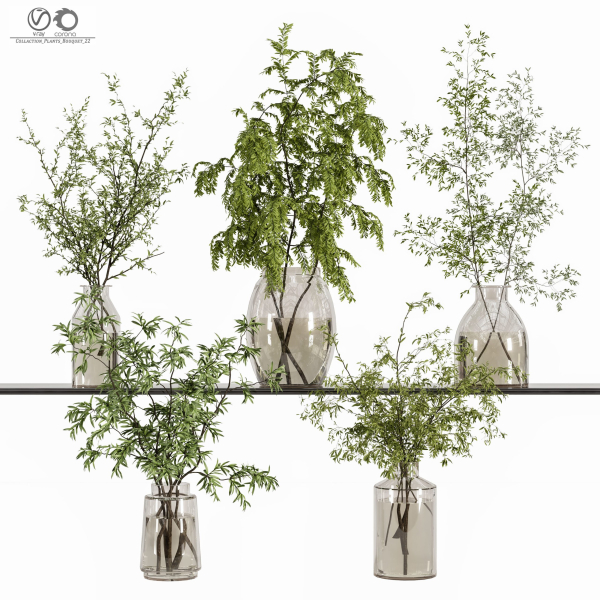 Collaction Plants Bouquet 22