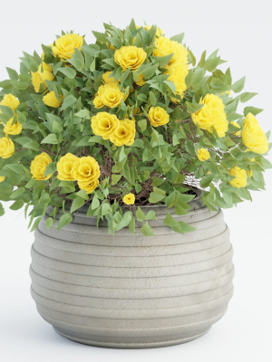 collection-flowering-bush-vol-16-blender-3d-model-12fc72fc14