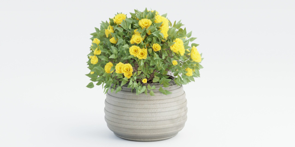 collection flowering bush vol 16-Blender