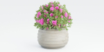 collection flowering bush vol 16-Blender