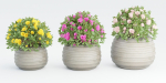 collection flowering bush vol 16-Blender