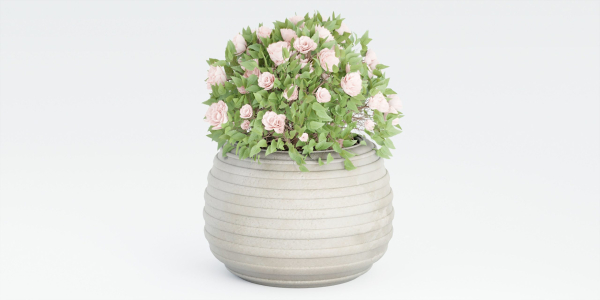 collection flowering bush vol 16-Blender