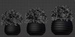 collection flowering bush vol 16-Blender