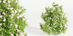 collection flowering bush vol 4-Blender
