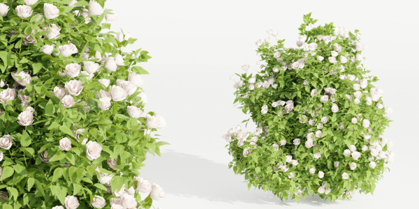 collection flowering bush vol 4-Blender