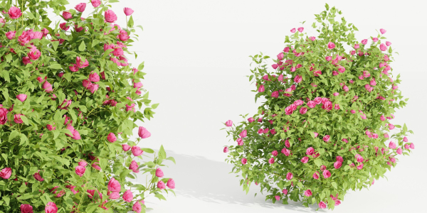 collection flowering bush vol 4-Blender