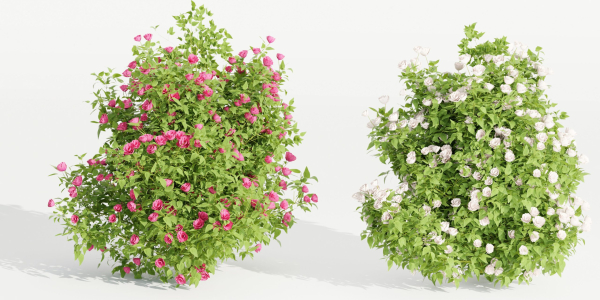 collection flowering bush vol 4-Blender