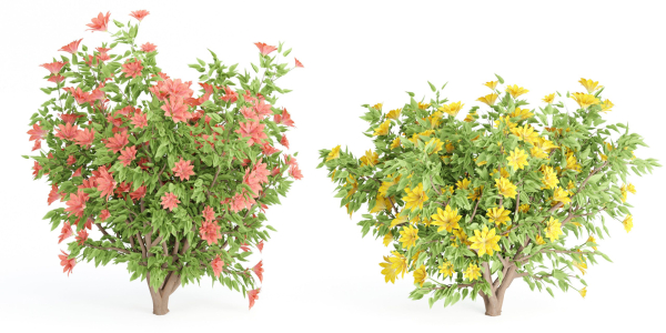 collection flowering bush vol 8-Blender