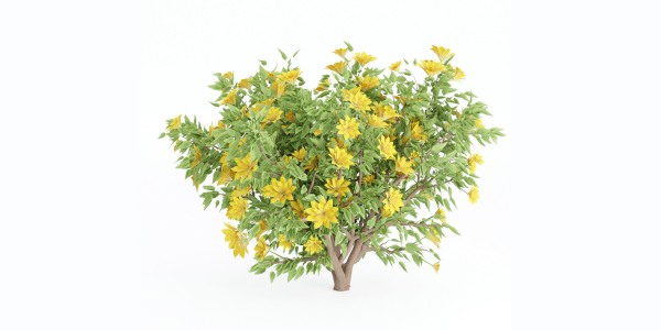 collection flowering bush vol 8-Blender