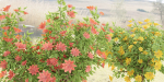 collection flowering bush vol 8-Blender