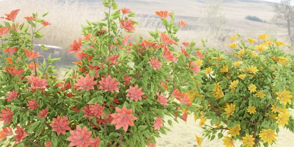 collection flowering bush vol 8-Blender