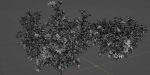 collection flowering bush vol 8-Blender