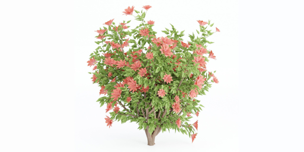 collection flowering bush vol 8-Blender