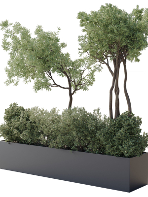 collection-indoor-outdoor-plant-139-garden-bax-metal-vase-pots-3d-model-max-obj-3ds-fbx