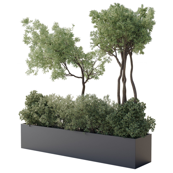 collection Indoor Outdoor plant 139 garden bax metal vase pots