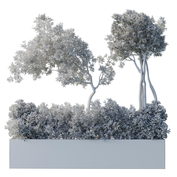 collection Indoor Outdoor plant 139 garden bax metal vase pots