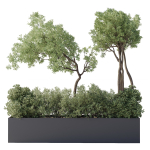 collection Indoor Outdoor plant 139 garden bax metal vase pots