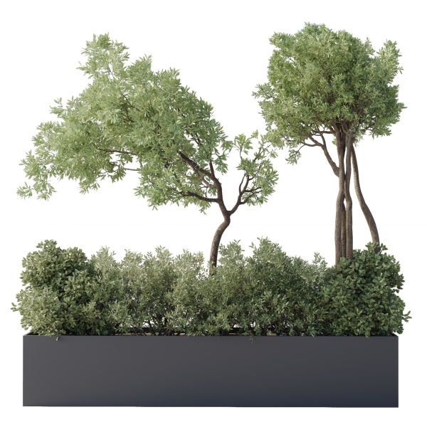 collection Indoor Outdoor plant 139 garden bax metal vase pots