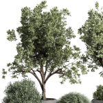 Collection indoor outdoor plant tree grass vase dirty concrete