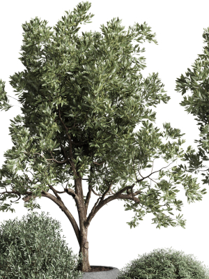 collection-indoor-outdoor-plant-tree-grass-vase-dirty-concrete-3d-model-max-obj-fbx