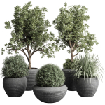 Collection indoor outdoor plant tree grass vase dirty concrete