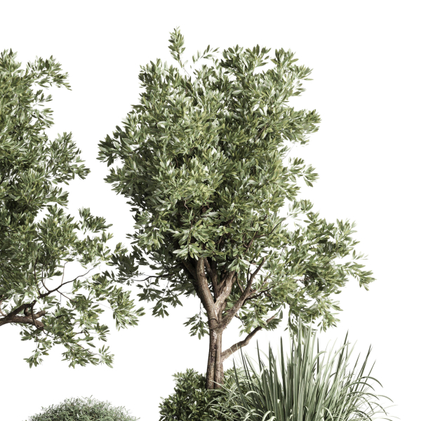 Collection indoor outdoor plant tree grass vase dirty concrete