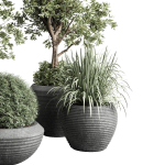Collection indoor outdoor plant tree grass vase dirty concrete