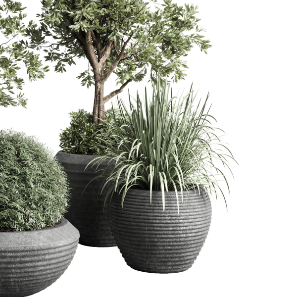 Collection indoor outdoor plant tree grass vase dirty concrete