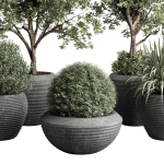 Collection indoor outdoor plant tree grass vase dirty concrete