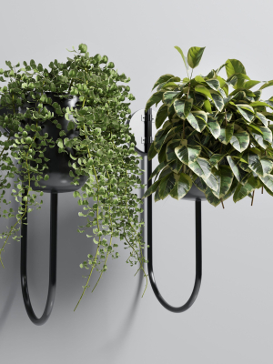 collection-indoor-plant-101-vase-metal-stand-wall-plant-3d-model-max-obj-3ds-fbx