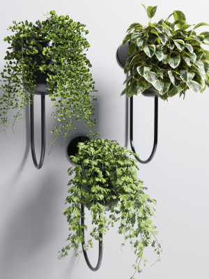 collection Indoor plant 101 vase metal stand wall plant