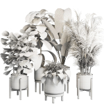 collection Indoor plant 30 -wood vase
